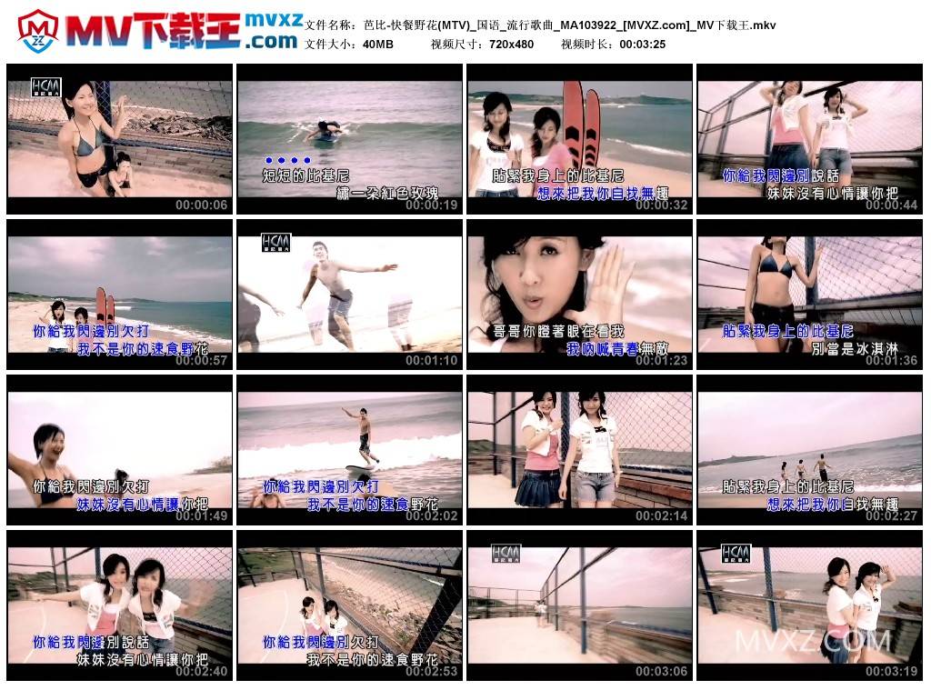 芭比-快餐野花(MTV)_国语_流行歌曲_MA103922